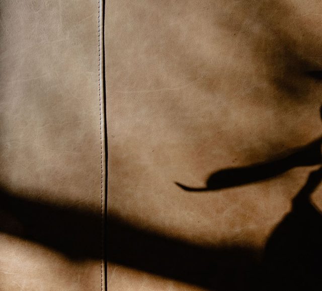 leather-indelux-mood