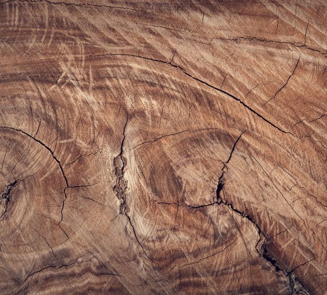 wood_indelux_mood